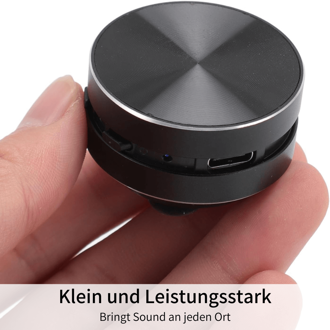 Diweya Eko - Premium Mini Lautsprecher für fesselnde Akustik